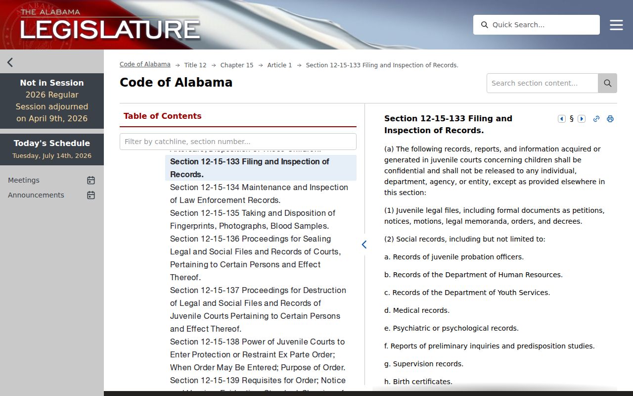 Lowndes County court records juvenile confidentiality law